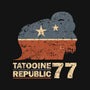 Republic-Womens-V-Neck-Tee-retrodivision