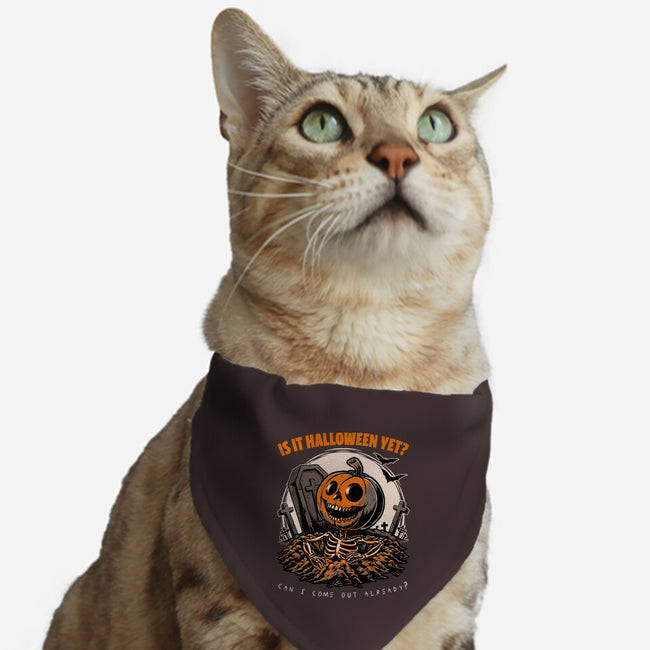 Halloween Approaches-Cat-Adjustable-Pet Collar-Studio Mootant