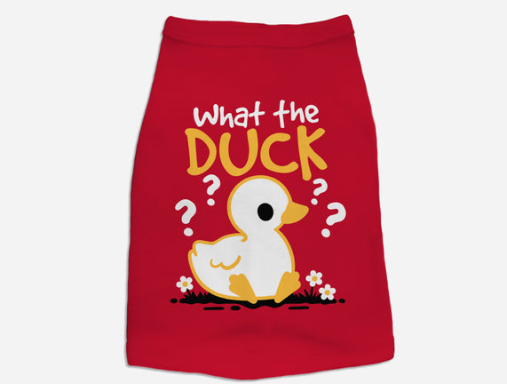 What The Duck