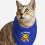 Summer Honey-Cat-Bandana-Pet Collar-krisren28