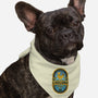 Chocobo Gold Beer Emblem-Dog-Bandana-Pet Collar-LAGELANTEE