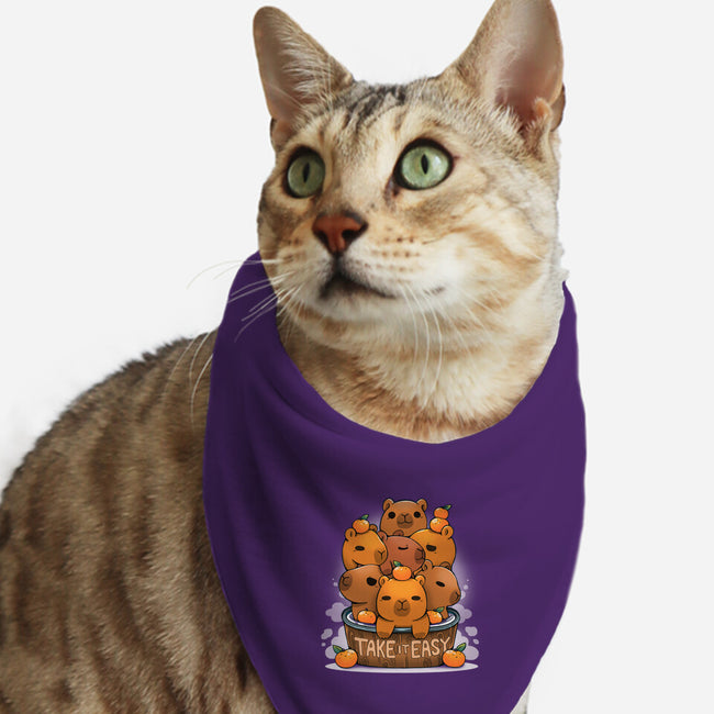 Take It Easy-Cat-Bandana-Pet Collar-Vallina84