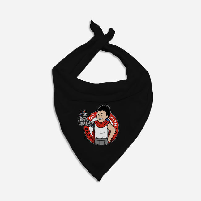 Capsule Boy-Cat-Bandana-Pet Collar-pigboom