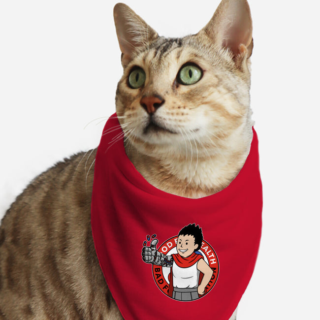 Capsule Boy-Cat-Bandana-Pet Collar-pigboom