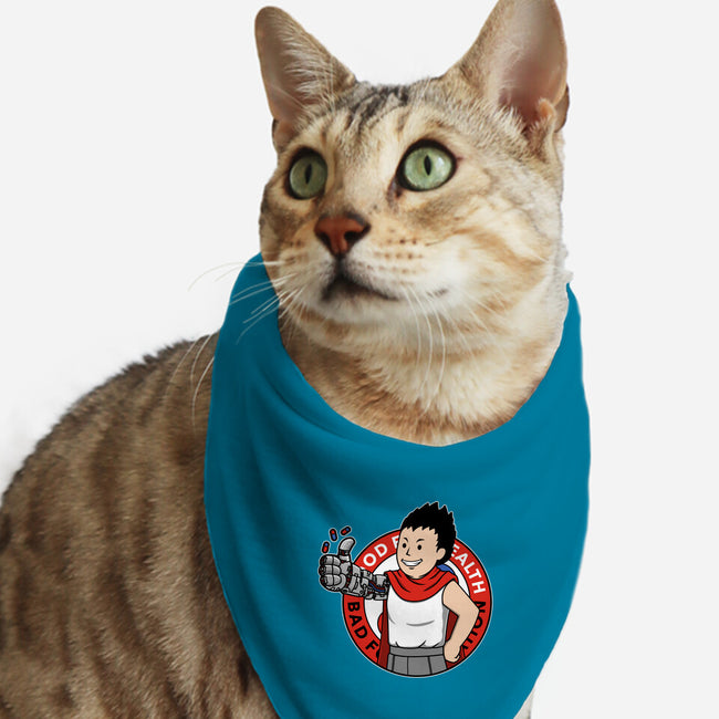 Capsule Boy-Cat-Bandana-Pet Collar-pigboom