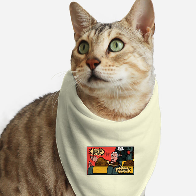 Airplane Slap-Cat-Bandana-Pet Collar-Raffiti