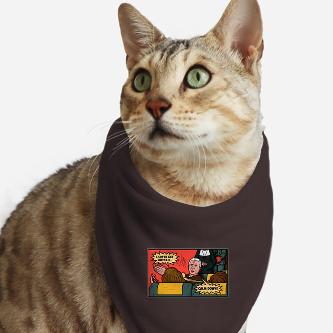 Airplane Slap-Cat-Bandana-Pet Collar-Raffiti