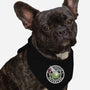 I Choose Adventure-Dog-Bandana-Pet Collar-naomori