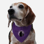 Countferatu-Dog-Adjustable-Pet Collar-Raffiti