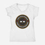 I Am A Nice Person-Womens-V-Neck-Tee-BadBox