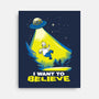 I Want To Believe-None-Stretched-Canvas-dalethesk8er