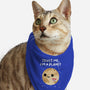 Trust Me I'm A Planet-Cat-Bandana-Pet Collar-DrMonekers