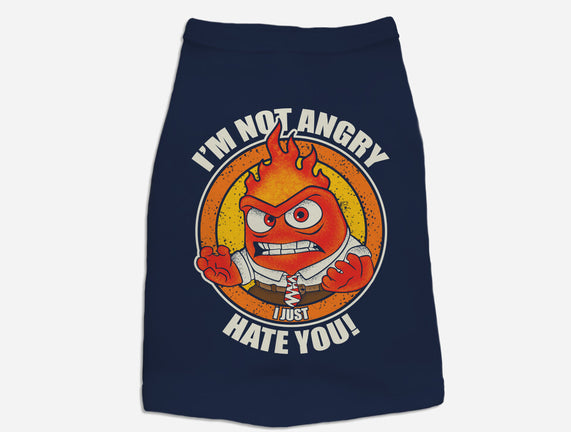 Not Angry I Just Hate You