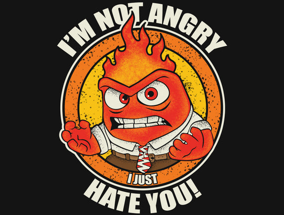 Not Angry I Just Hate You