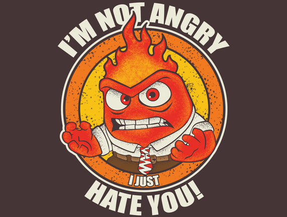 Not Angry I Just Hate You