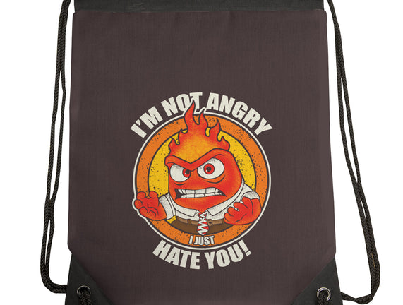 Not Angry I Just Hate You