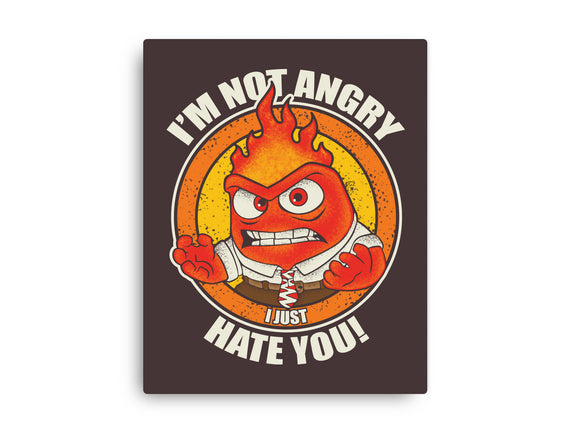 Not Angry I Just Hate You