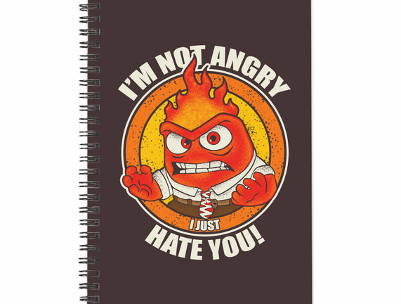 Not Angry I Just Hate You