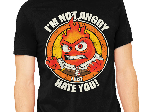 Not Angry I Just Hate You