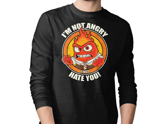 Not Angry I Just Hate You