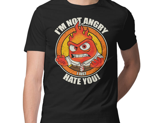 Not Angry I Just Hate You