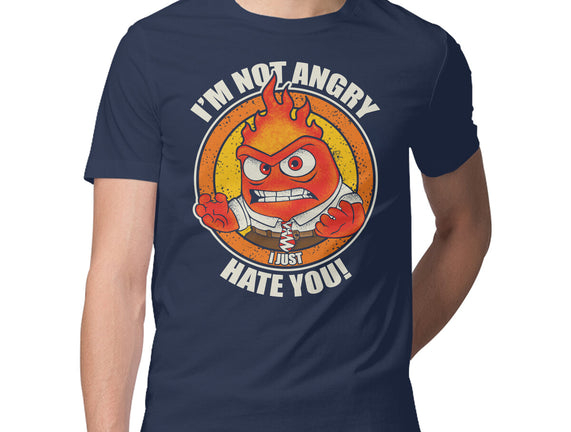 Not Angry I Just Hate You