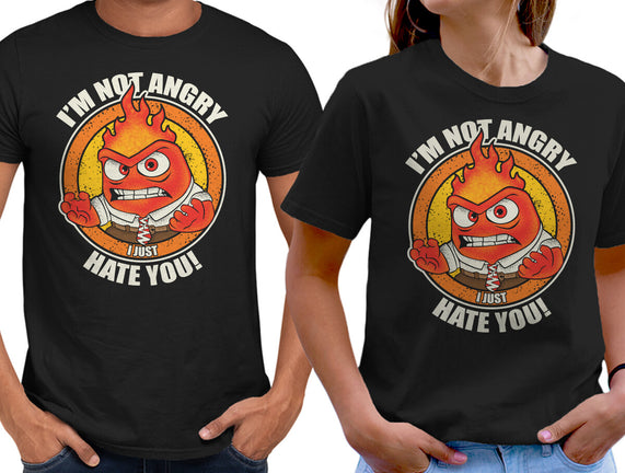 Not Angry I Just Hate You