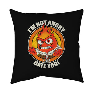 Not Angry I Just Hate You