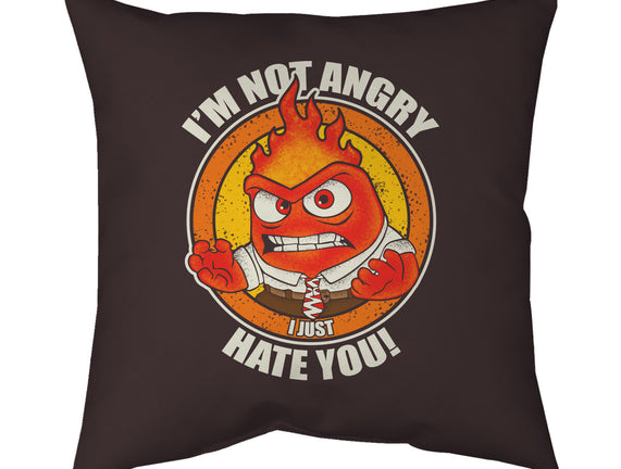 Not Angry I Just Hate You