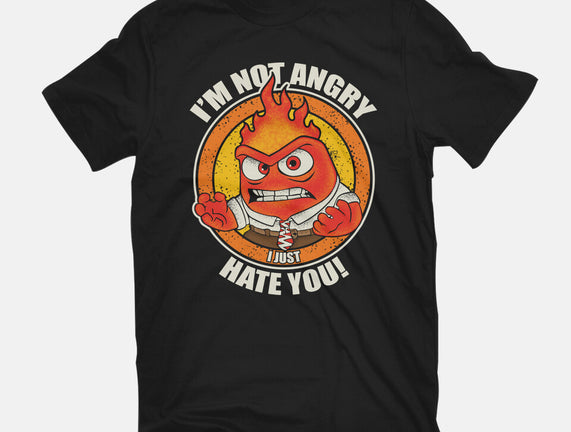 Not Angry I Just Hate You