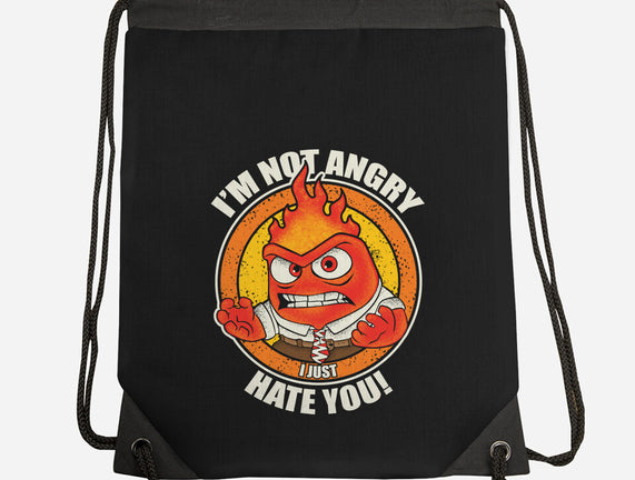 Not Angry I Just Hate You