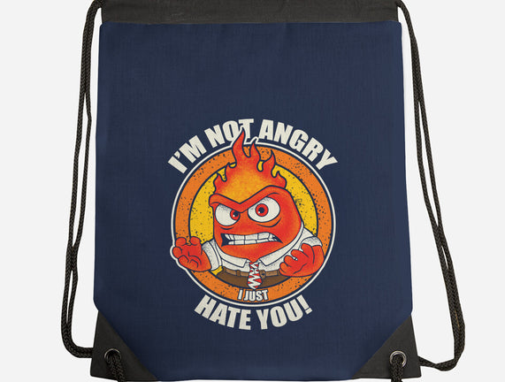 Not Angry I Just Hate You