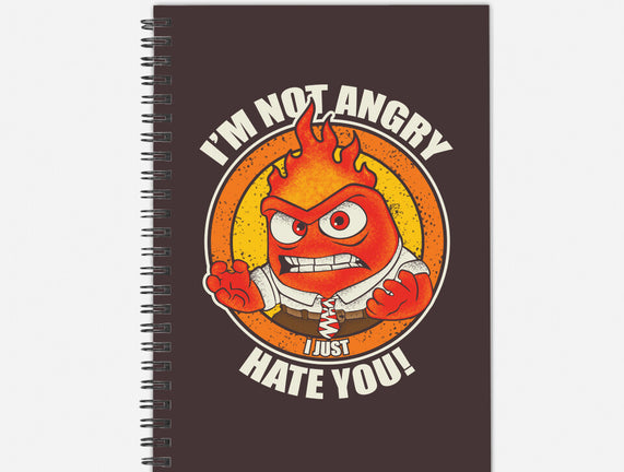 Not Angry I Just Hate You