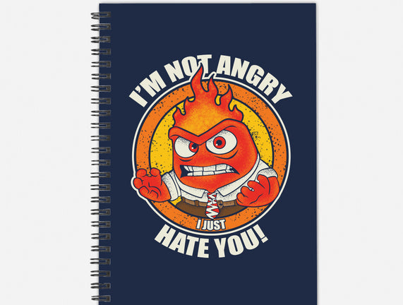 Not Angry I Just Hate You