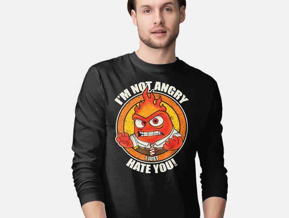 Not Angry I Just Hate You