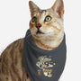 Silly Rabbit-Cat-Bandana-Pet Collar-kg07