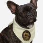 Shiny Beer-Dog-Bandana-Pet Collar-retrodivision