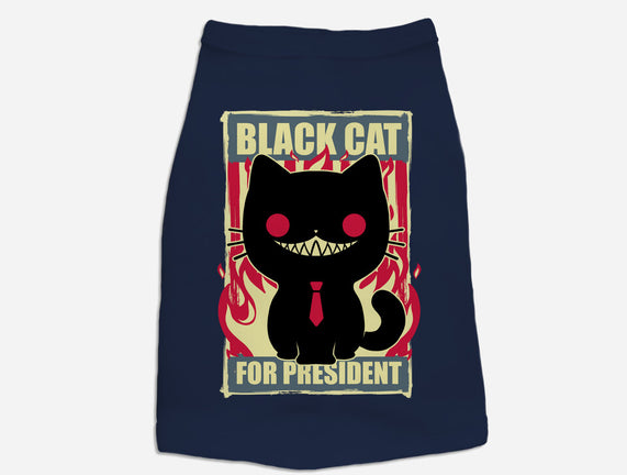 Black Cat For President