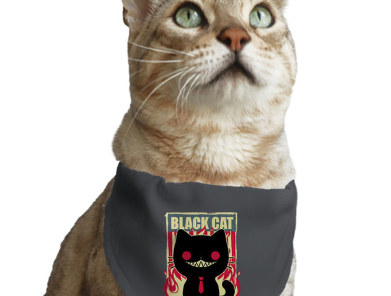 Black Cat For President