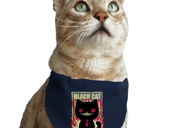 Black Cat For President