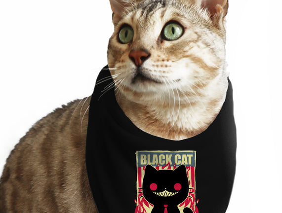 Black Cat For President