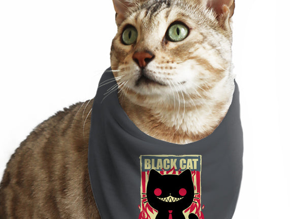 Black Cat For President