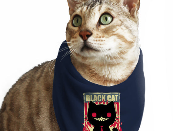 Black Cat For President