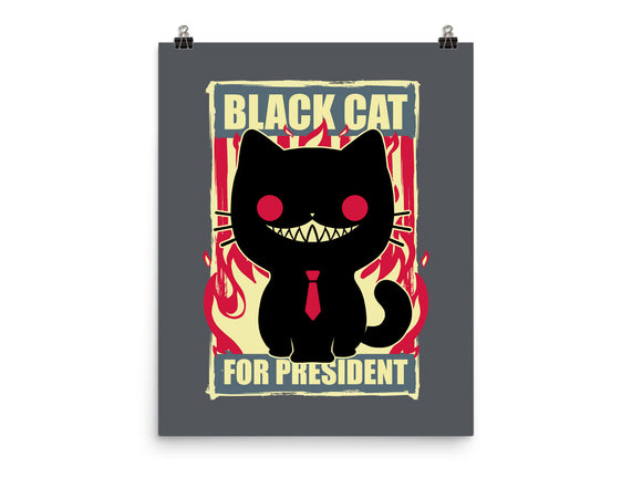 Black Cat For President