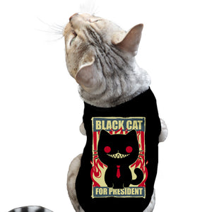 Black Cat For President