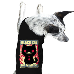 Black Cat For President