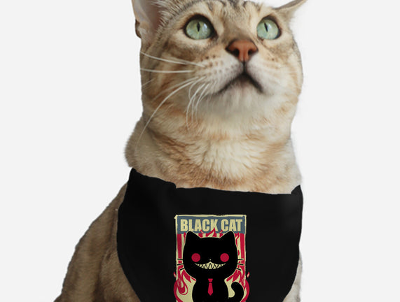 Black Cat For President