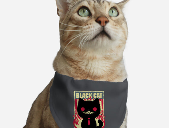 Black Cat For President