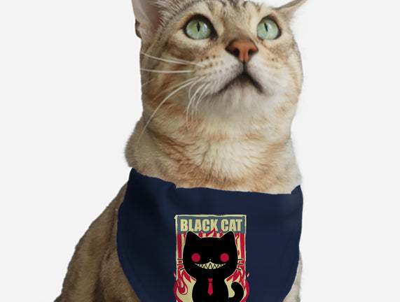 Black Cat For President