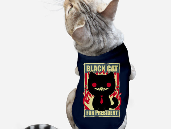 Black Cat For President